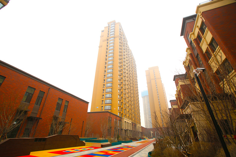 1576222112912087.jpg 003.jpg